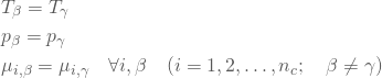 \begin{equation*} \begin{split} &T_\beta = T_\gamma\\ &p_\beta = p_\gamma \\ &\mu_{i, \beta} = \mu_{i, \gamma} \quad \forall{i, \beta} \quad (i=1, 2, \ldots, n_c; \quad \beta \neq \gamma) \end{split} \end{equation*}